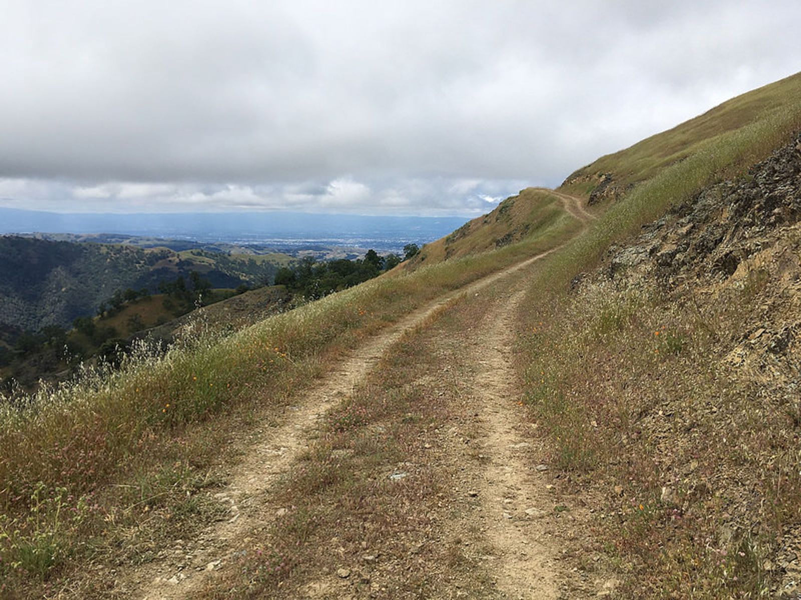 Just past Rose Peak